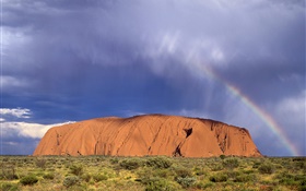 岩の山、草、砂漠、オーストラリア HDの壁紙
