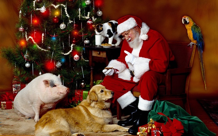 サンタクロースや動物、クリスマスライト 壁紙 ピクチャー