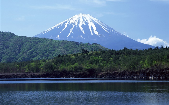 海、森、富士山、日本 壁紙 ピクチャー