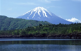 海、森、富士山、日本 HDの壁紙