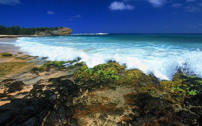 海の波、海岸、夕暮れ、ハワイ、アメリカ 壁紙 ピクチャー