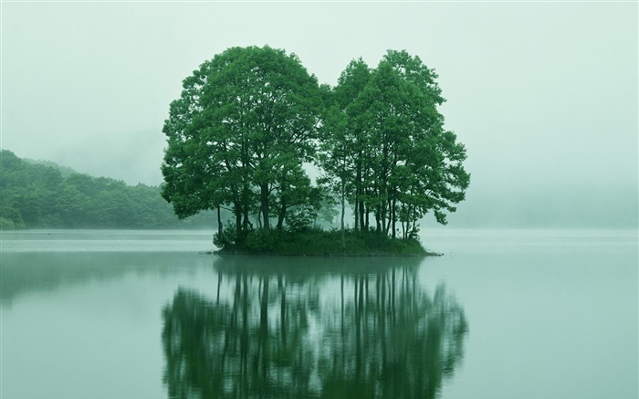 湖の中央にある小さな島、木、東京、日本 壁紙 ピクチャー