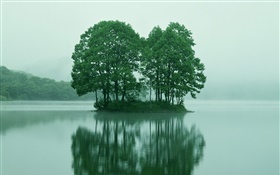 湖の中央にある小さな島、木、東京、日本 HDの壁紙