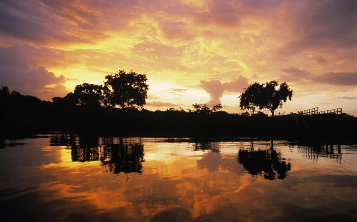 森、湖、ガイアナに沈む夕日 壁紙 ピクチャー