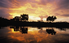 森、湖、ガイアナに沈む夕日 HDの壁紙