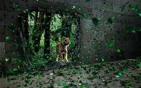 タイガーは森の中で、緑の葉は、創造的な写真を飛んで HDの壁紙