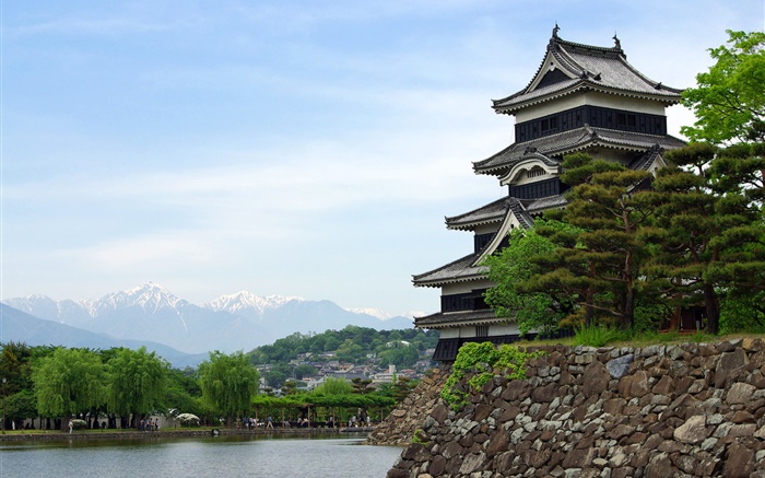 東京、日本、公園、湖、寺院への旅 壁紙 ピクチャー