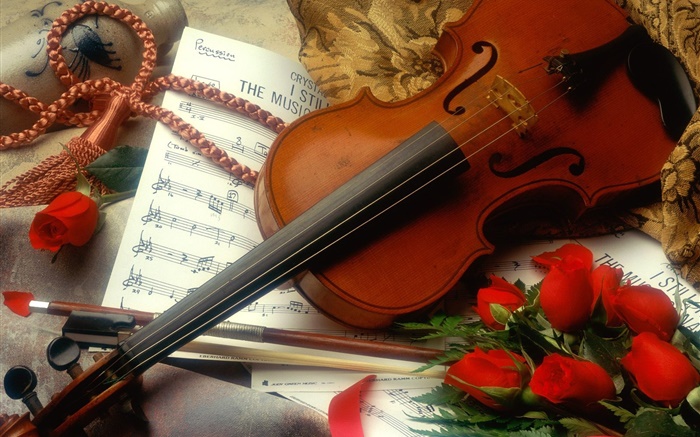 ヴァイオリン、赤いバラ、音楽 壁紙 ピクチャー