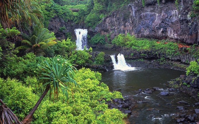 滝、小川、水、岩、植物、ハワイ、アメリカ 壁紙 ピクチャー