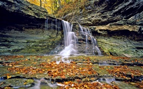 滝、岩、紅葉、秋