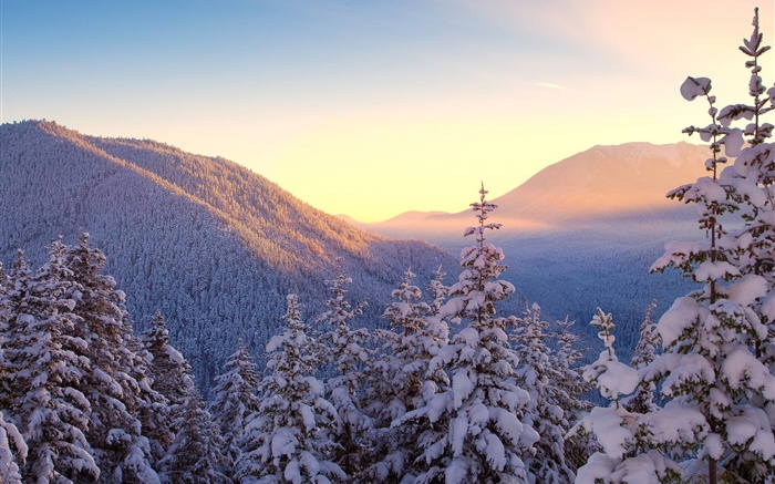 冬、山、雪、木、日没 壁紙 ピクチャー