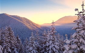 冬、山、雪、木、日没 HDの壁紙