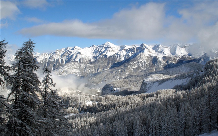 冬、山、木、雪、自然の風景 壁紙 ピクチャー