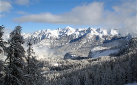 冬、山、木、雪、自然の風景 HDの壁紙