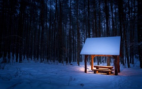 冬、木、パビリオン、雪、夜、ライト HDの壁紙