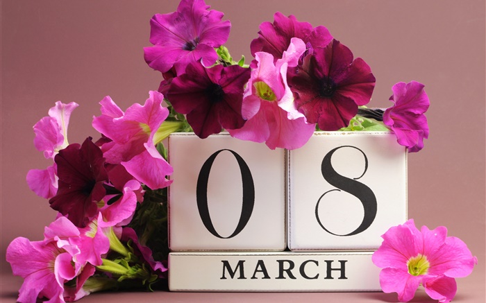 3月8日、女性の日、ピンクのペチュニアの花、日 壁紙 ピクチャー