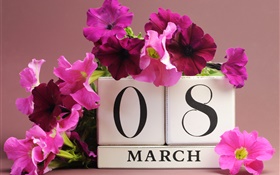 3月8日、女性の日、ピンクのペチュニアの花、日 HDの壁紙