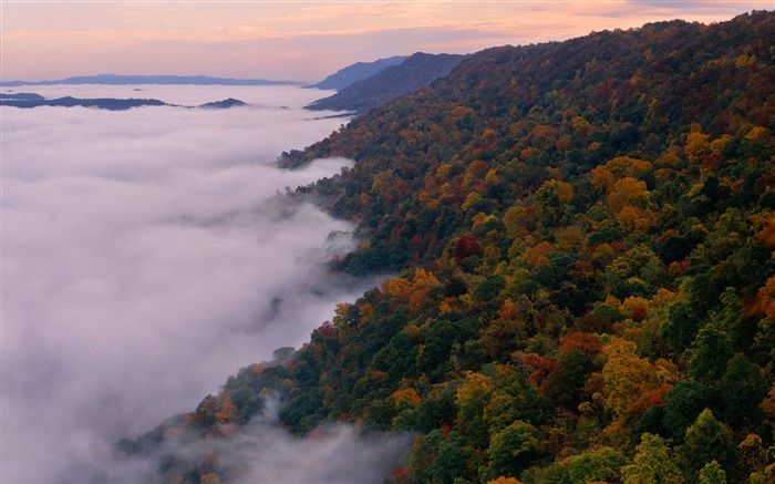 美しい自然の風景、山、木、秋、霧、夜明け 壁紙 ピクチャー