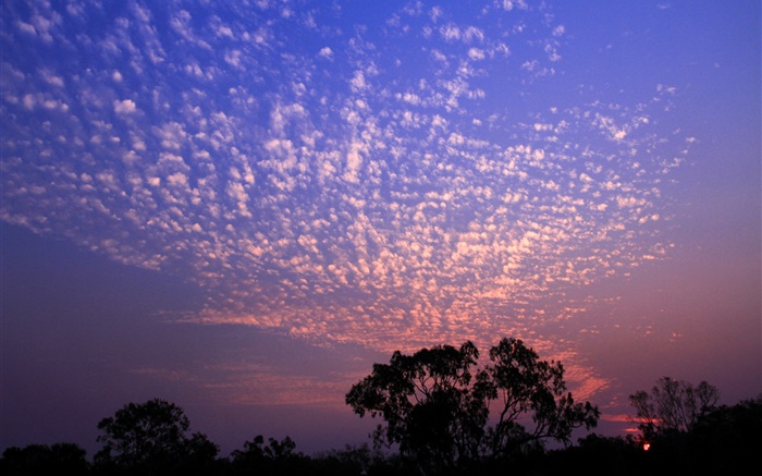美しい夕日 空 雲 木のシルエット Hdの壁紙 風景 壁紙プレビュー Ja Hdwall365 Com