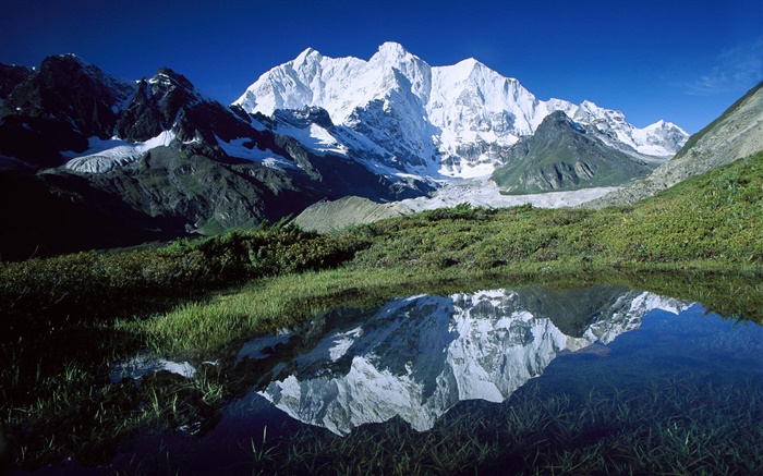 チョモレンゾー、山、草、池、氷河、チベット 壁紙 ピクチャー