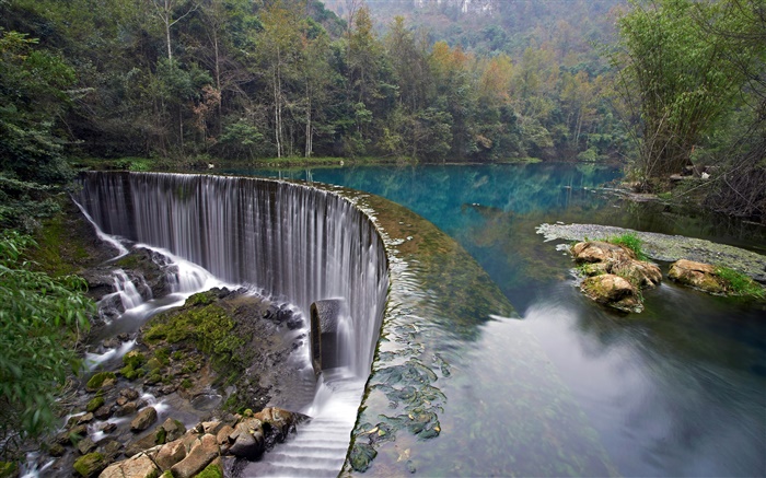 クロアチア、プリトヴィッツェ湖群国立公園、森、石、木、滝 壁紙 ピクチャー