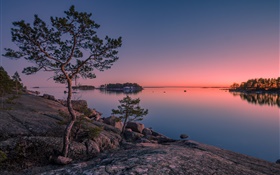 フィンランド、フィンランド湾、海、島、日没、木、石