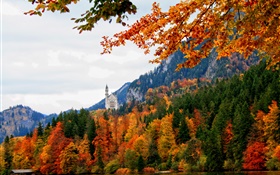 ドイツ、バイエルン、シュヴァンシュタイン城、木、川、秋 HDの壁紙