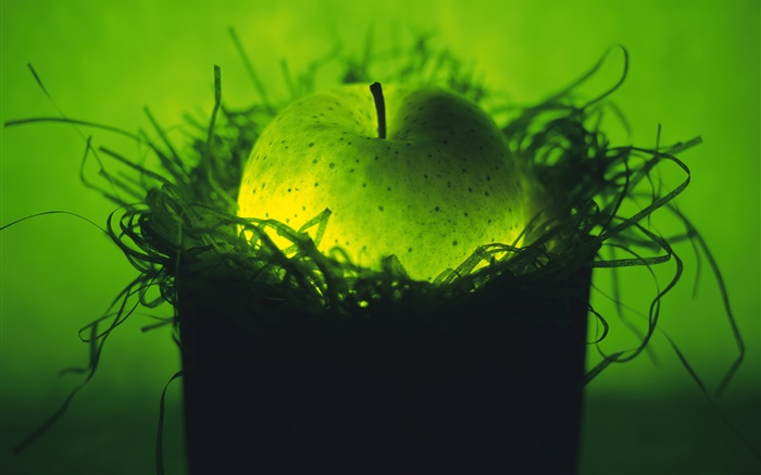 光果物、巣の中の緑のリンゴ 壁紙 ピクチャー