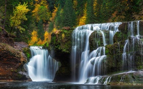 下げルイスリバーフォールズ、ワシントン、アメリカ、滝、秋、木 HDの壁紙