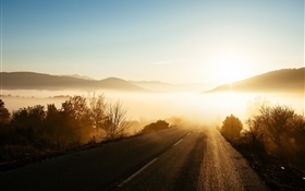朝、日の出、霧、道路、木、太陽の光 HDの壁紙