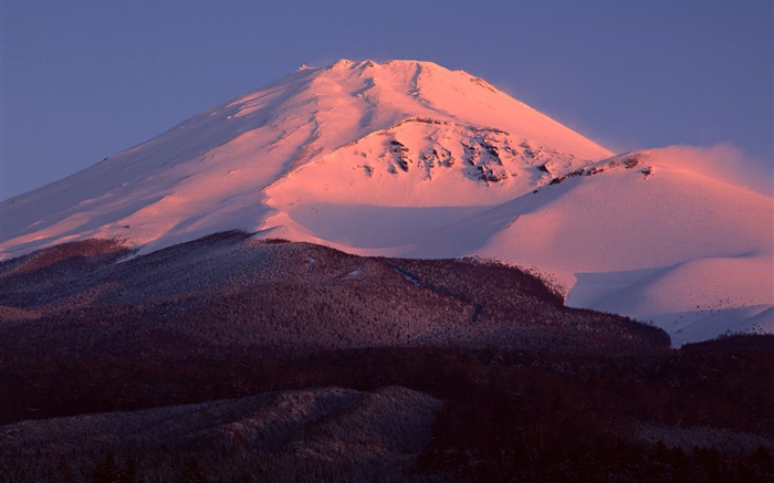 富士山、日本、雪、夕暮れ、森林 壁紙 ピクチャー