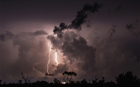 夜、雲、嵐、雷、木、シルエット HDの壁紙
