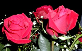 赤は花をバラ、花束 HDの壁紙