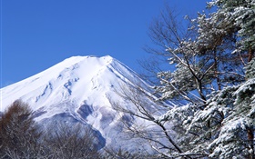 白の世界、冬、雪、富士山、日本