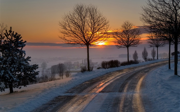 冬、朝、夜明け、道路、木、雪、日の出 壁紙 ピクチャー