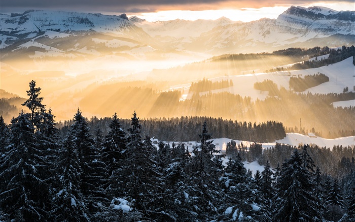冬、山、朝、太陽の光、木、雪 壁紙 ピクチャー