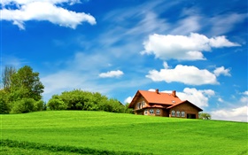 緑の草、木、家、雲、青空