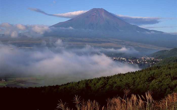 富士山、日本、町、森林、草、霧、雲 壁紙 ピクチャー