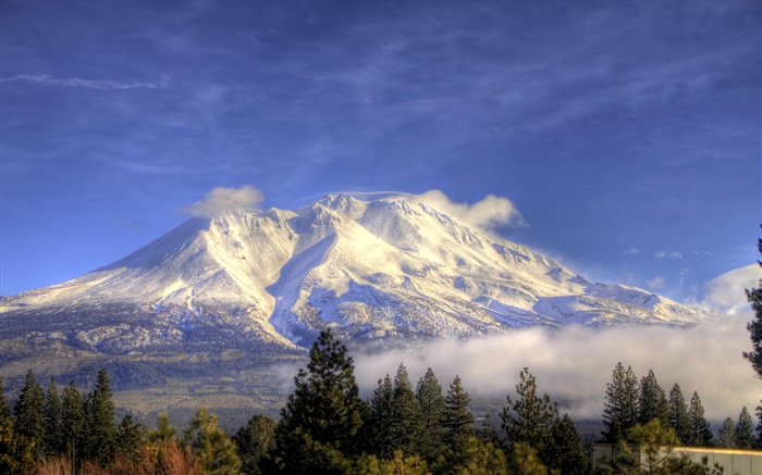 山、雪、木、雲、シャスタ、カリフォルニア州、アメリカ 壁紙 ピクチャー
