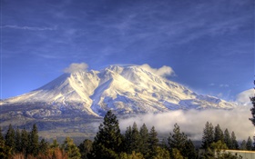 山、雪、木、雲、シャスタ、カリフォルニア州、アメリカ HDの壁紙