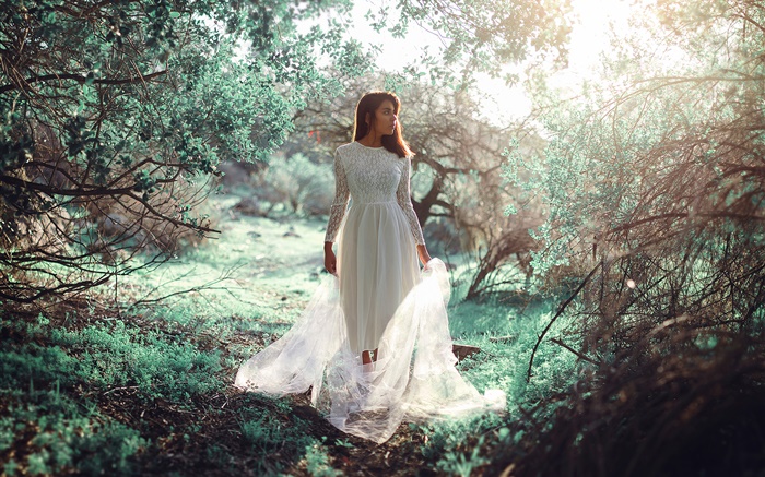森、太陽、まぶしさの白いドレスの女の子 壁紙 ピクチャー
