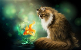 猫と金魚、アートの描画 HDの壁紙