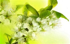 白いリンゴの花、開花、小枝、春 HDの壁紙