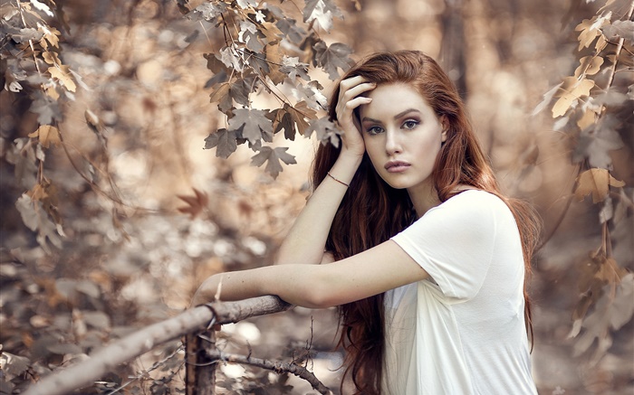 秋、木、フェンスで茶色の髪の少女 壁紙 ピクチャー