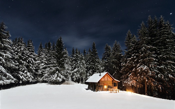 冬、雪、木、夜、小屋 壁紙 ピクチャー