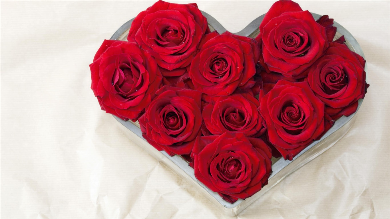 愛の心、花束の赤いバラ 1366x768 壁紙 背景画像