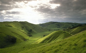 山、緑、草、フィールド、雲、日差し HDの壁紙
