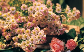 ピンクの花、バラ、カモミール