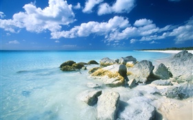 バハマ、ビーチ、海、石 HDの壁紙