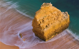 ビーチ、海、岩、鳥 HDの壁紙